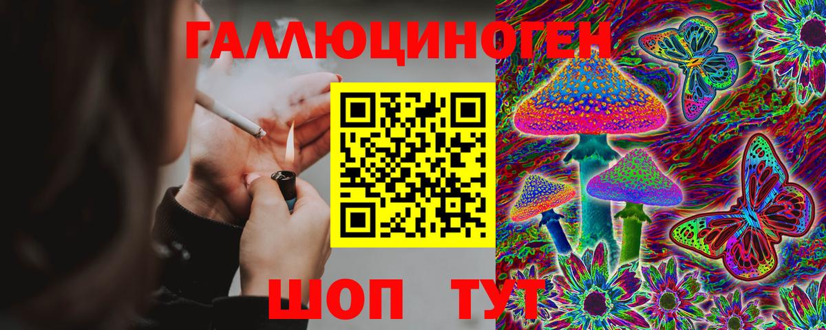 Заинск  Псилоцибиновые грибы GOLDEN TEACHER  Вход с VPN  Галлюциногенные грибы Magic Shrooms 